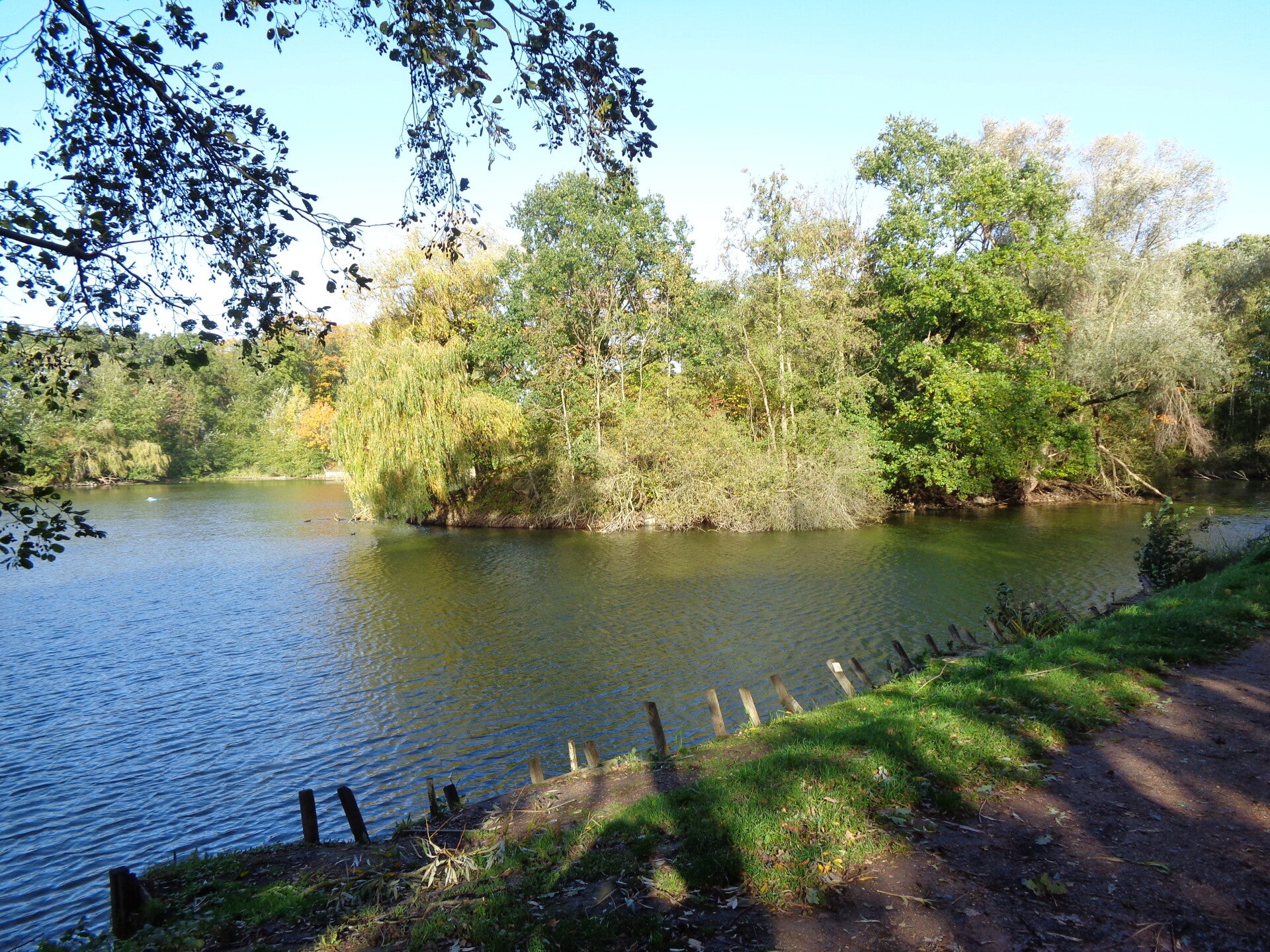 dsc00839-standard.jpg