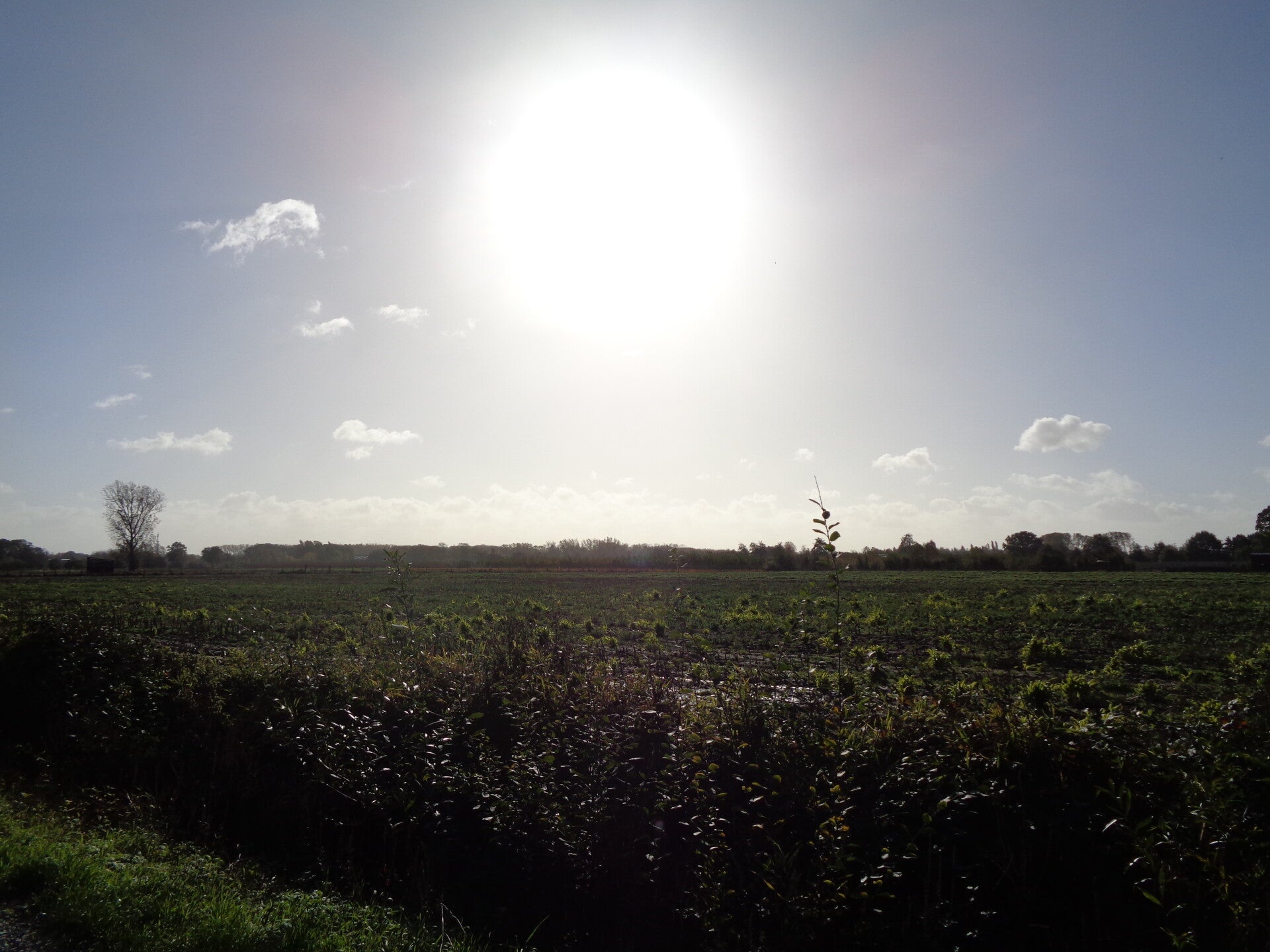 dsc00845-standard.jpg
