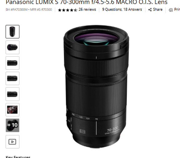 Panasonic LUMIX S 70-300mm f/4.5-5.6 MACRO O.I.S. Lens
