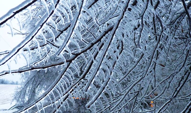 Ice storm icicles 
