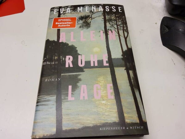 ALLEINRUHELAGE von Eva Menasse