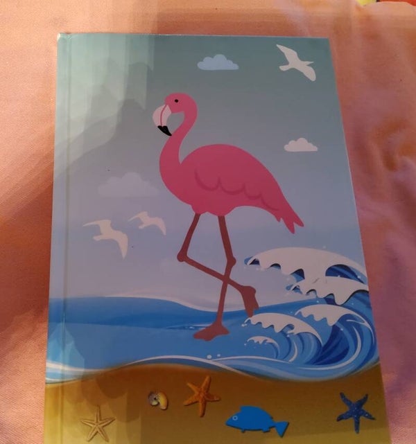 Notizbuch A5 Flamingo