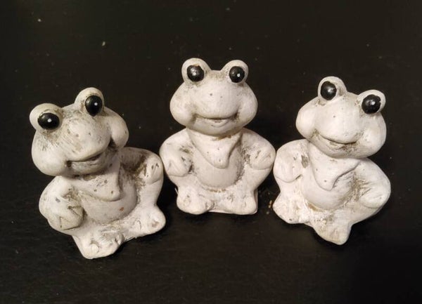 Frosch