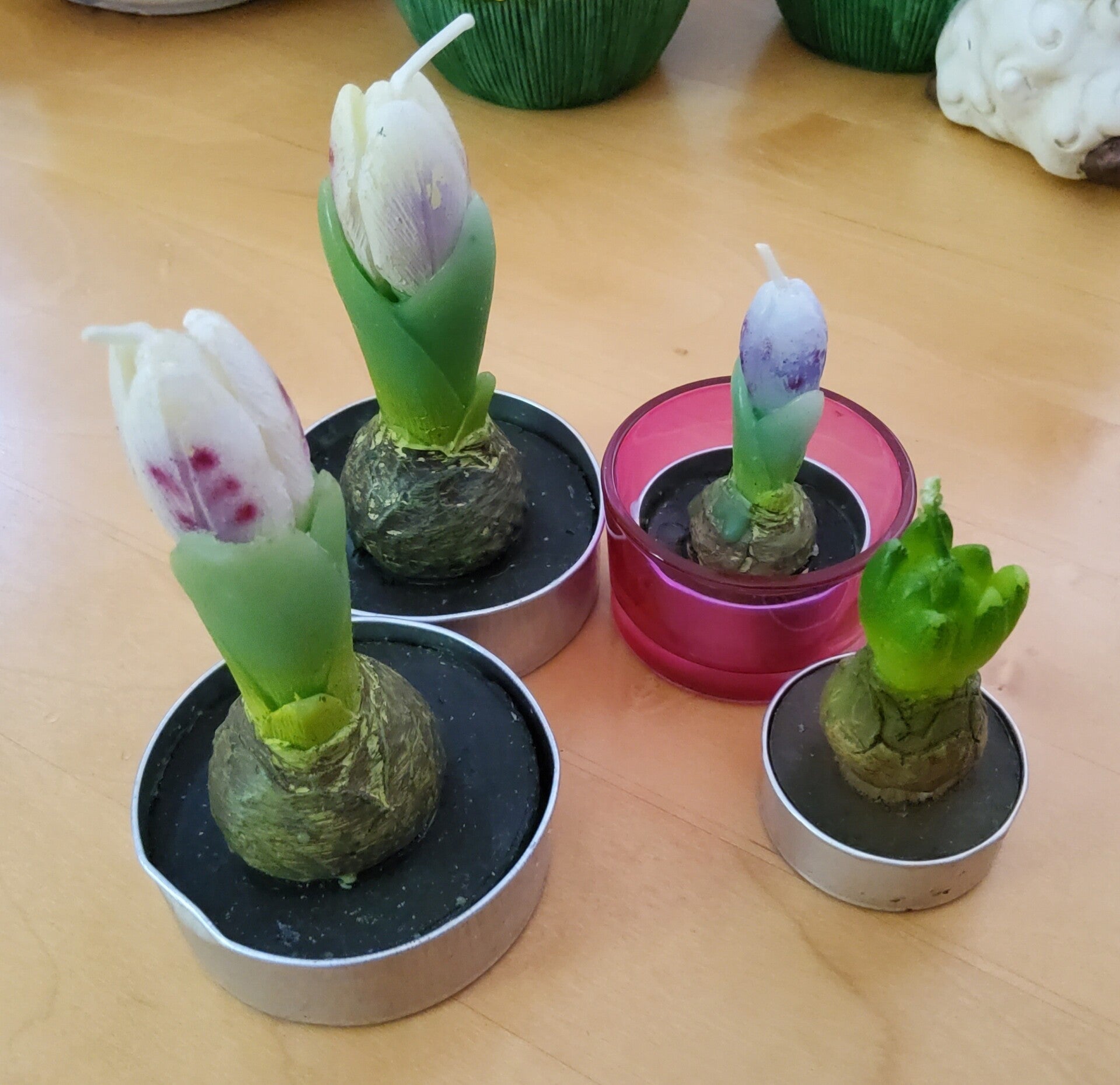 Krokus Kerze