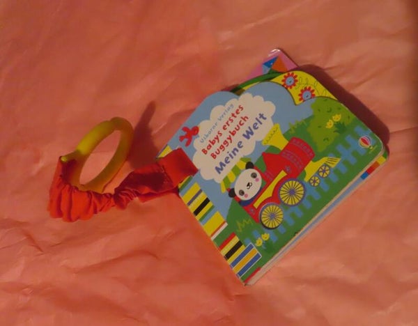 Babys erstes Buggybuch