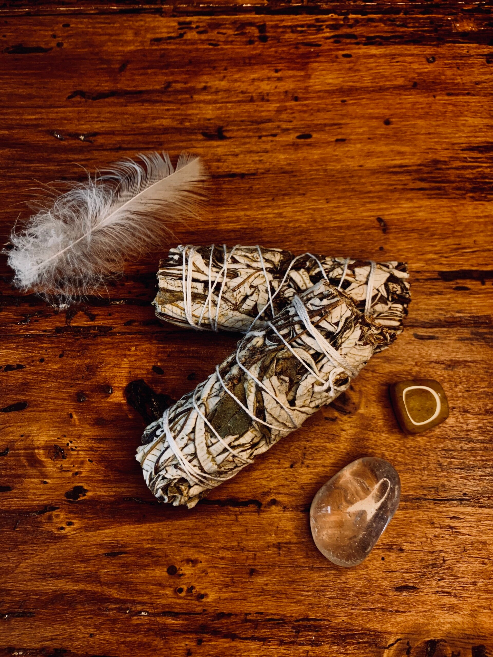 Sauge Blanche à la " YERBA SANTA"