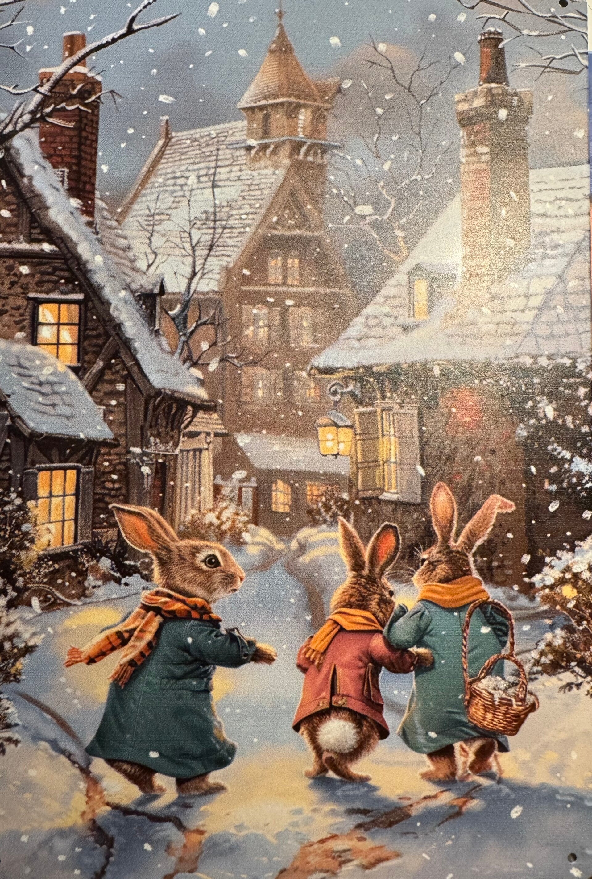 Peltikyltti talvipuput