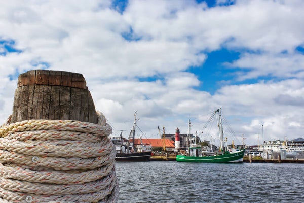 Kunstdruck: (MA 178) Hafen Büsum
