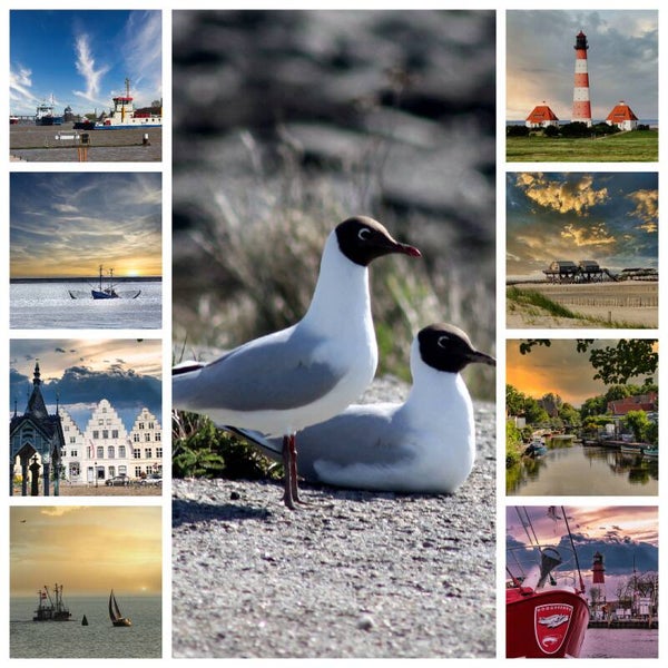 Kunstdruck: (CA 107) Collage Küsten Fotos