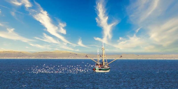 Panorama-Format: (PA 124) 80 x 40 cm, Fischkutter Amrum
