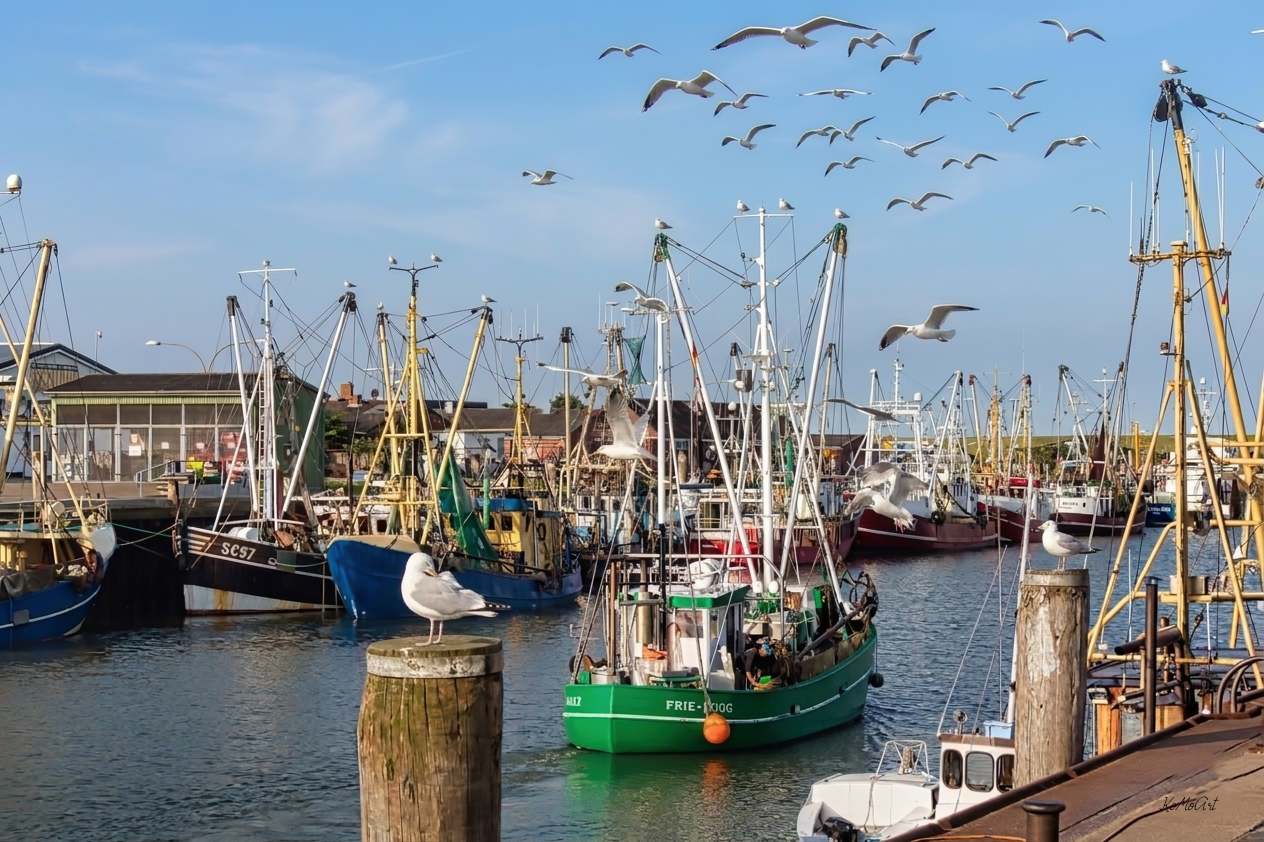Büsumer Hafen FM006