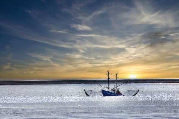 Kunstdruck: (MA 101) Fangfahrt blauer Himmel