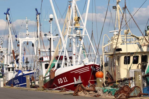 Kunstdruck: (MA 105) Fischkutter am Kai
