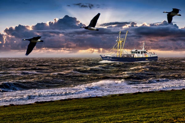 Kunstdruck: (MA 127) Sturm 2