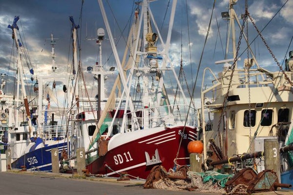 Kunstdruck: (MA 138) Fischkutter Büsumer Hafen