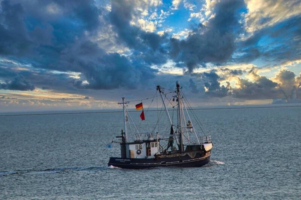 Kunstdruck: (MA 150) Fischkutter