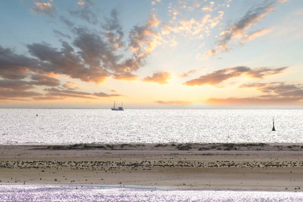 Kunstdruck: (MA 181) Amrum Sonnenuntergang
