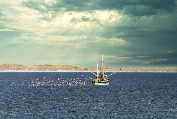 Kunstdruck: (MA 183) Fischkutter Amrum