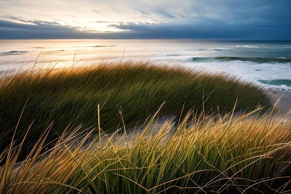 Kunstdruck: (MA 190) Abendstimmung Nordsee
