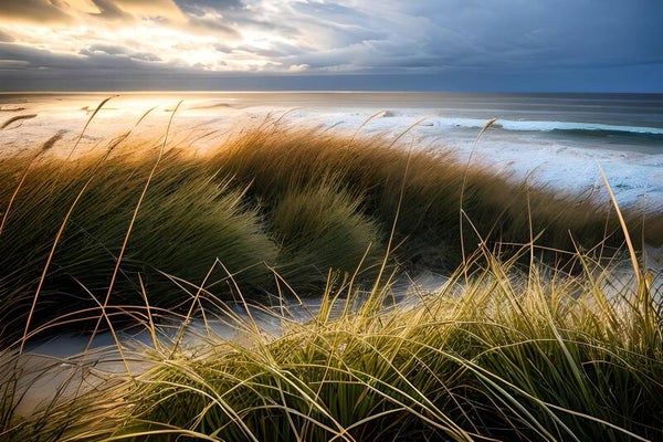 Kunstdruck: (MA 192) Abendstimmung Nordsee 2
