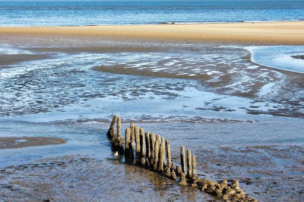 Kunstdruck: (MA 196) Watt und Strand