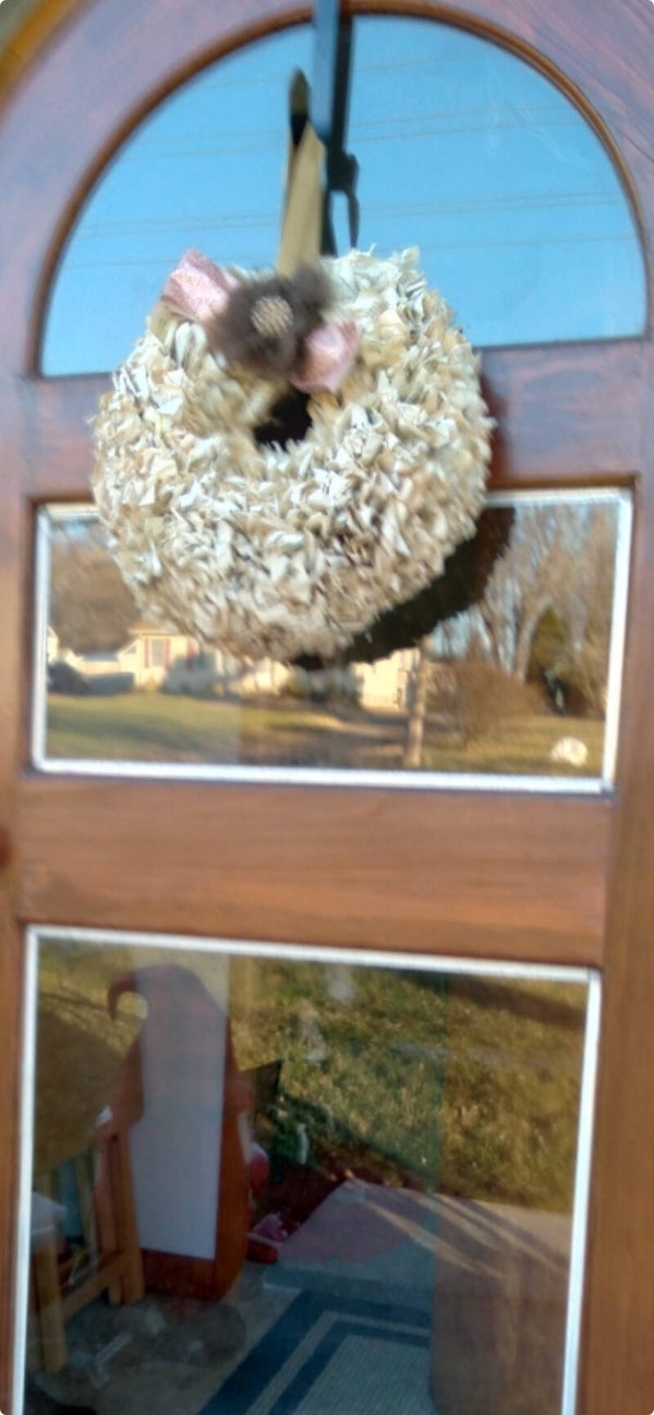 "Brown Sugared" Size Cutie Pie