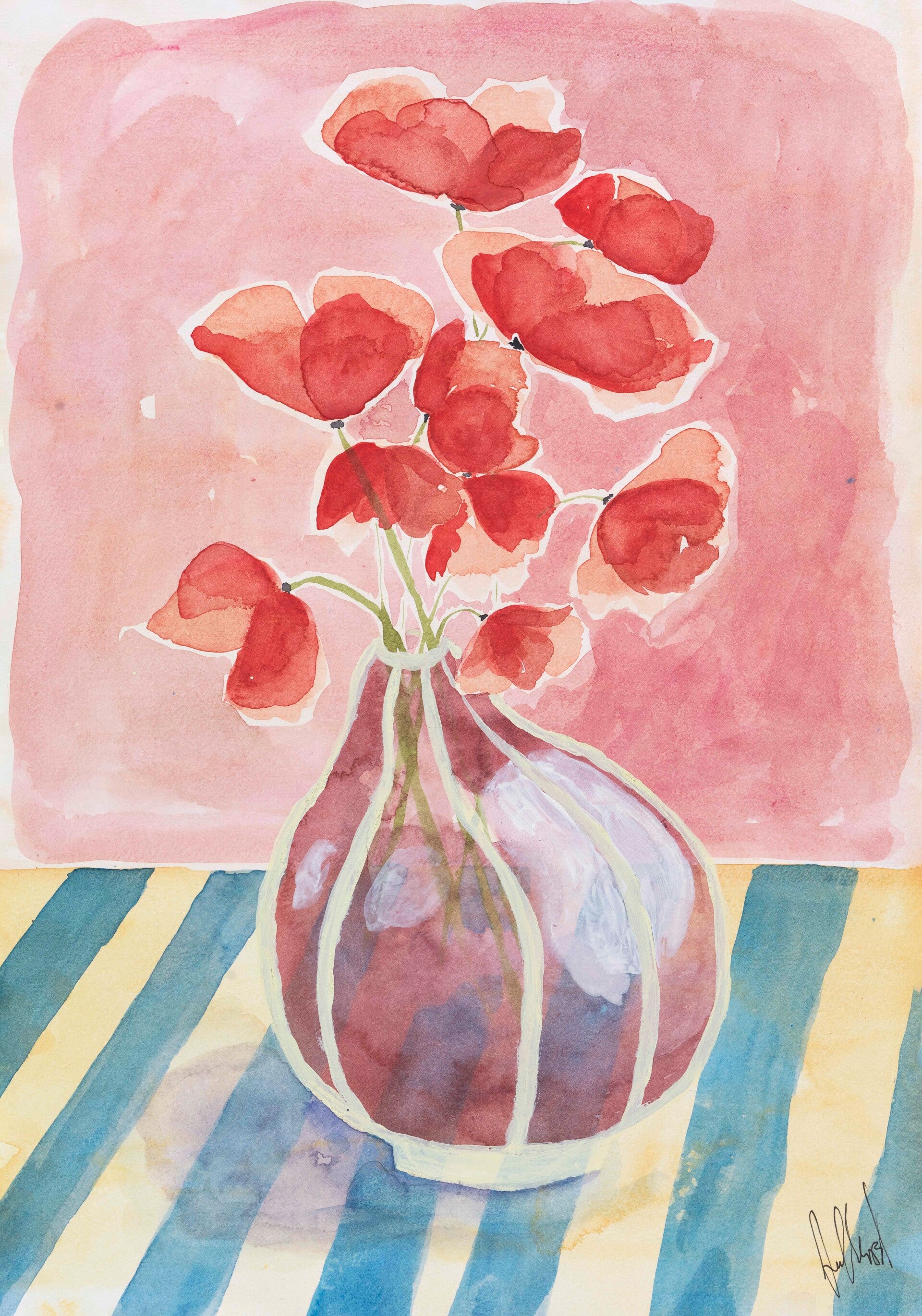 Red Everlasting Poppies