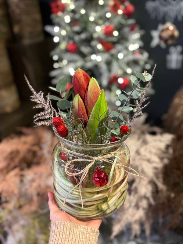 Amaryllis vaas