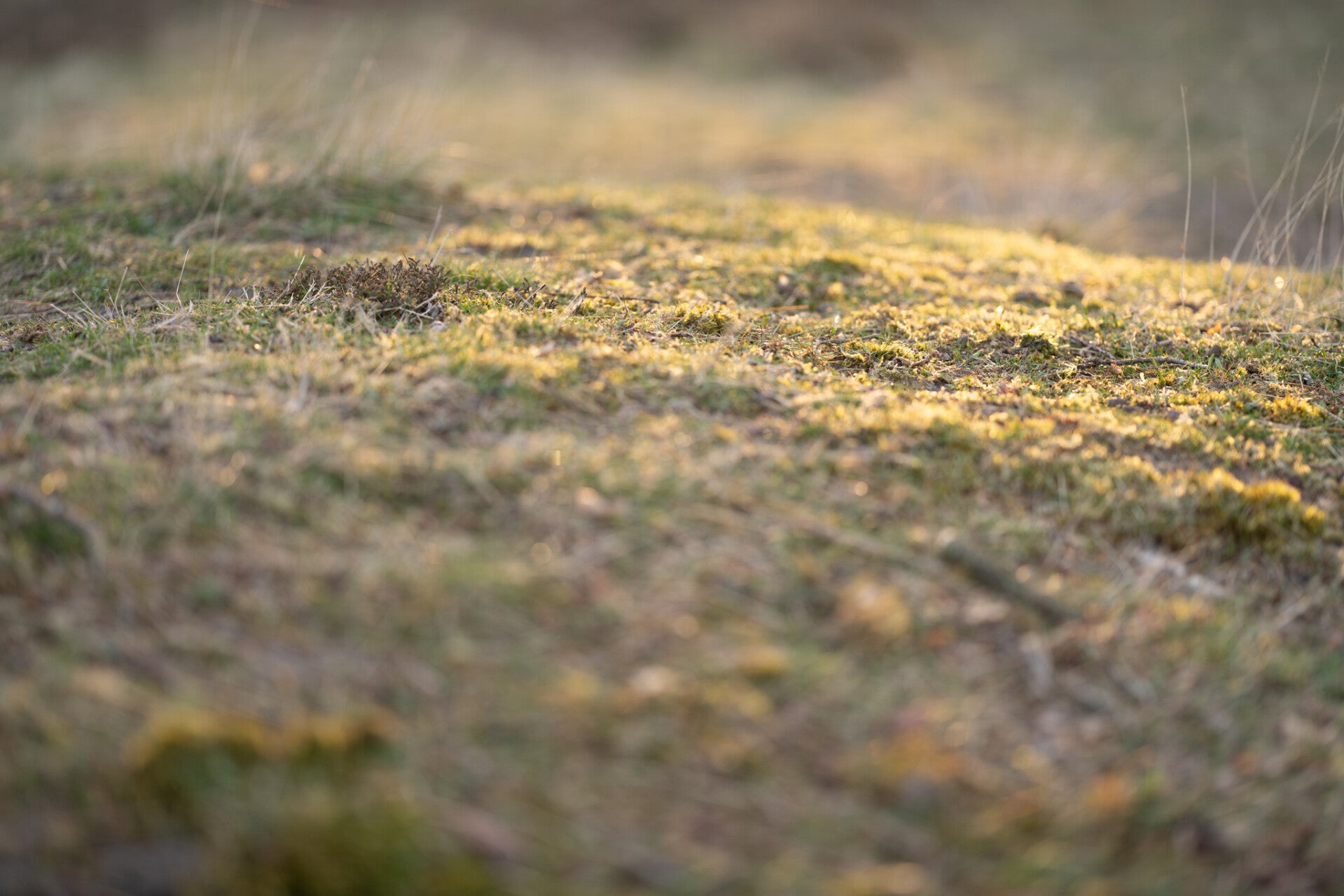 Doula, massage, therapie