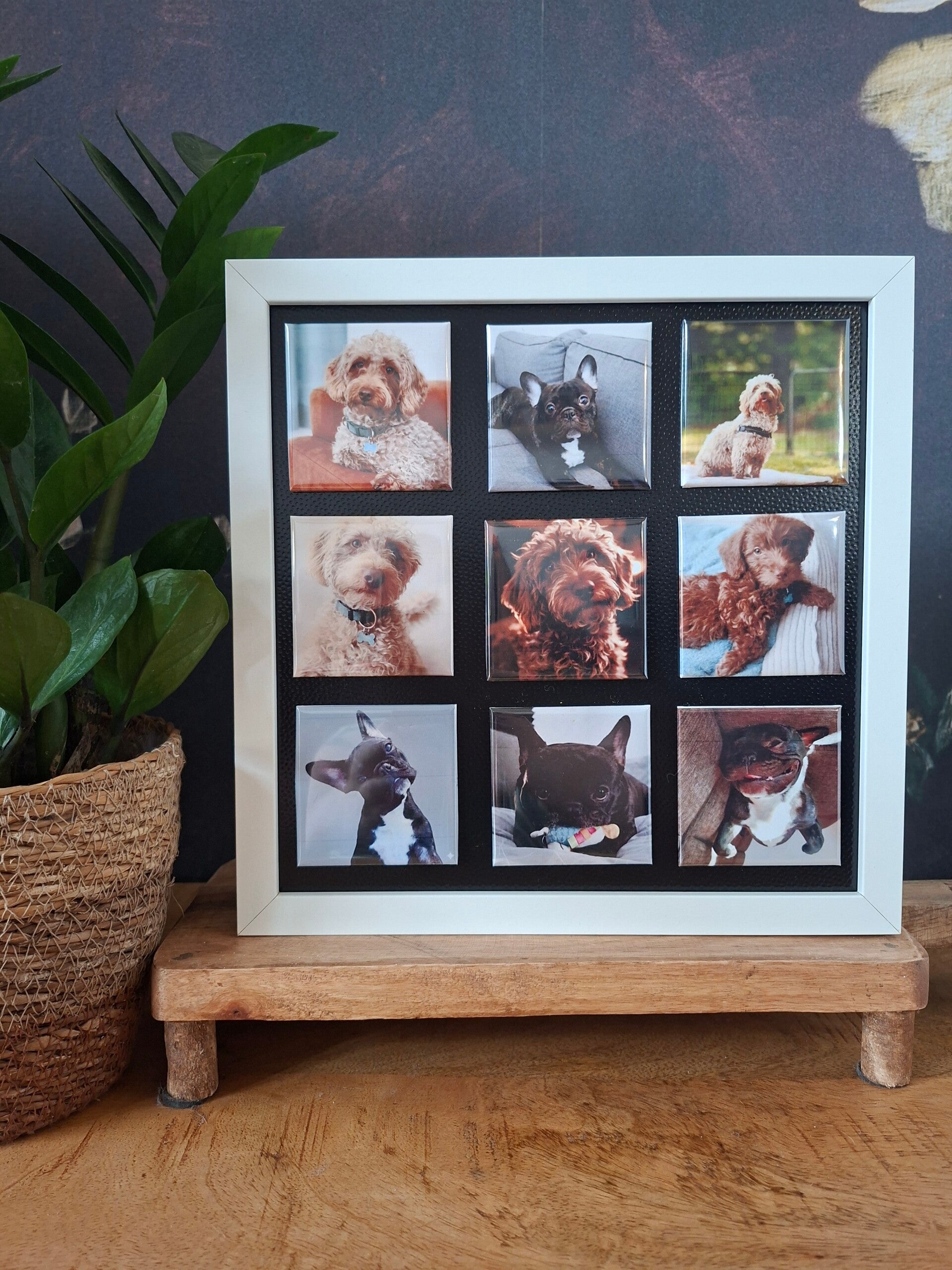 Witte lijst met 9 magneten