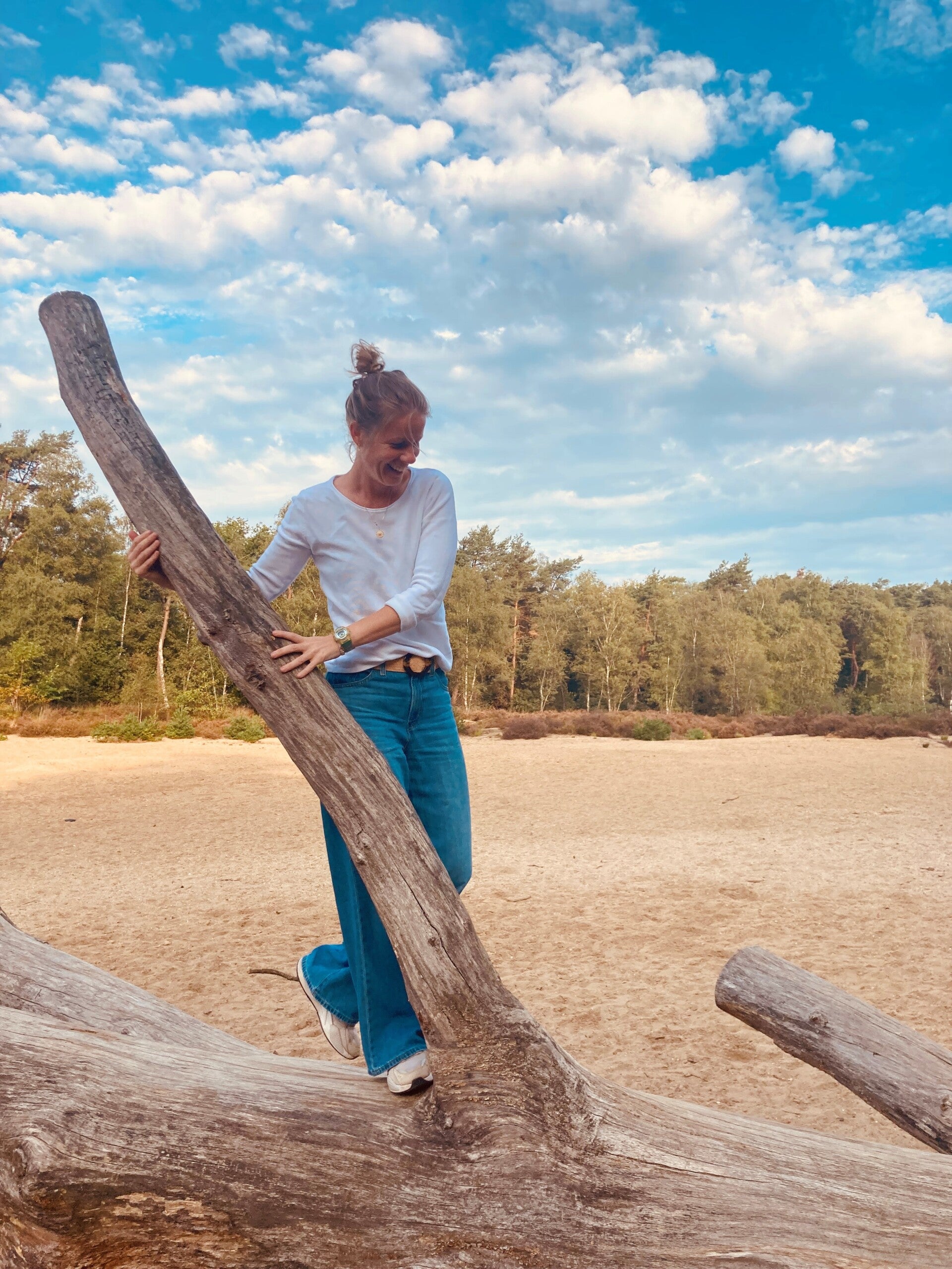 traject familieopstellingen