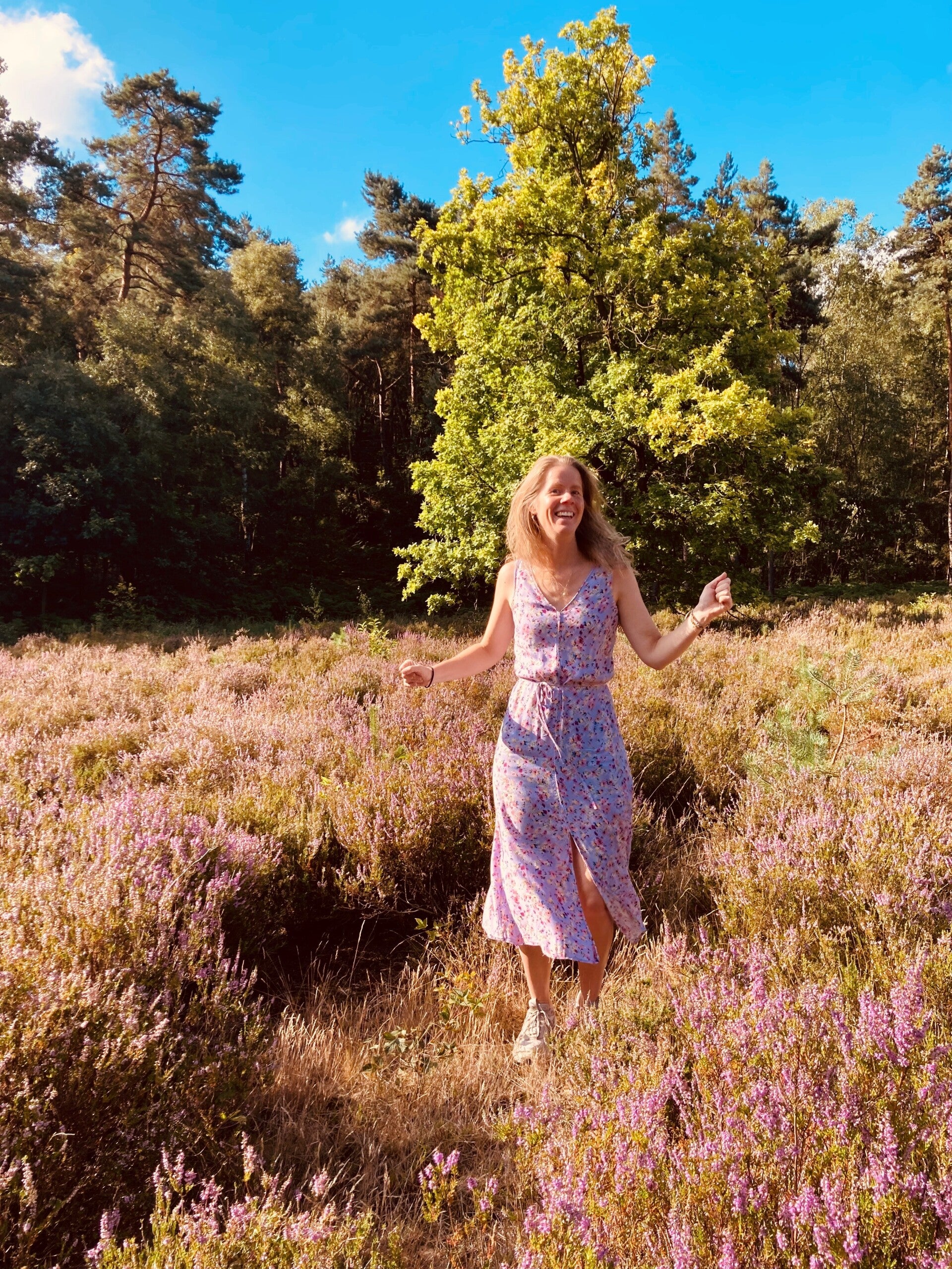 1-op-1 traject systemisch werk