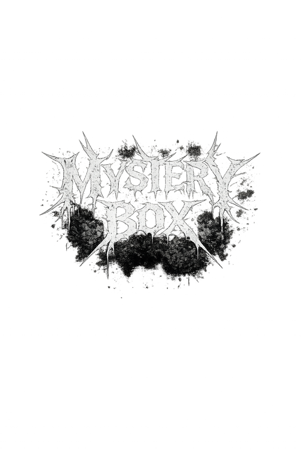 Mystery Box ¨100$¨ Value