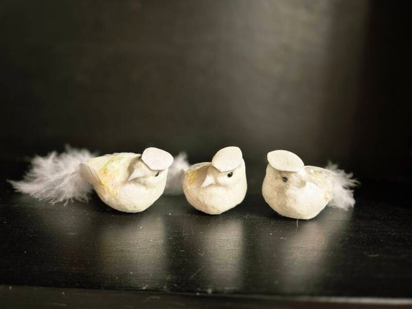 Witte vogels set 3