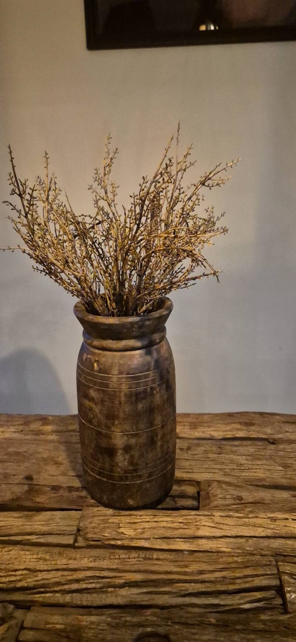 Betula bundel