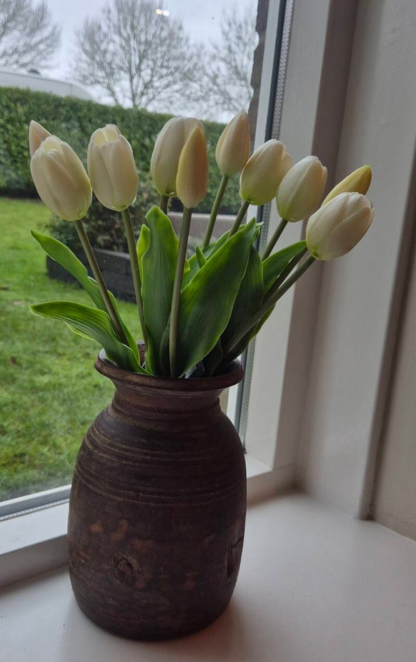 Tulip Sally Cream