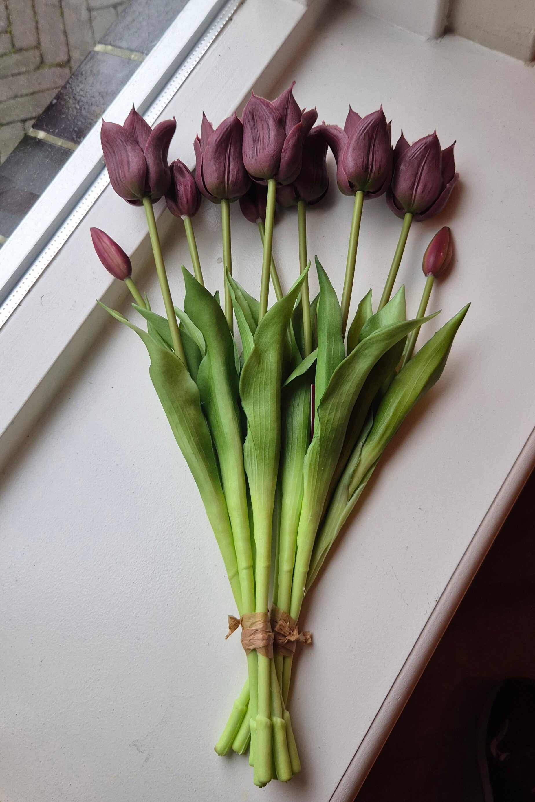 Tulp real touch Aubergine