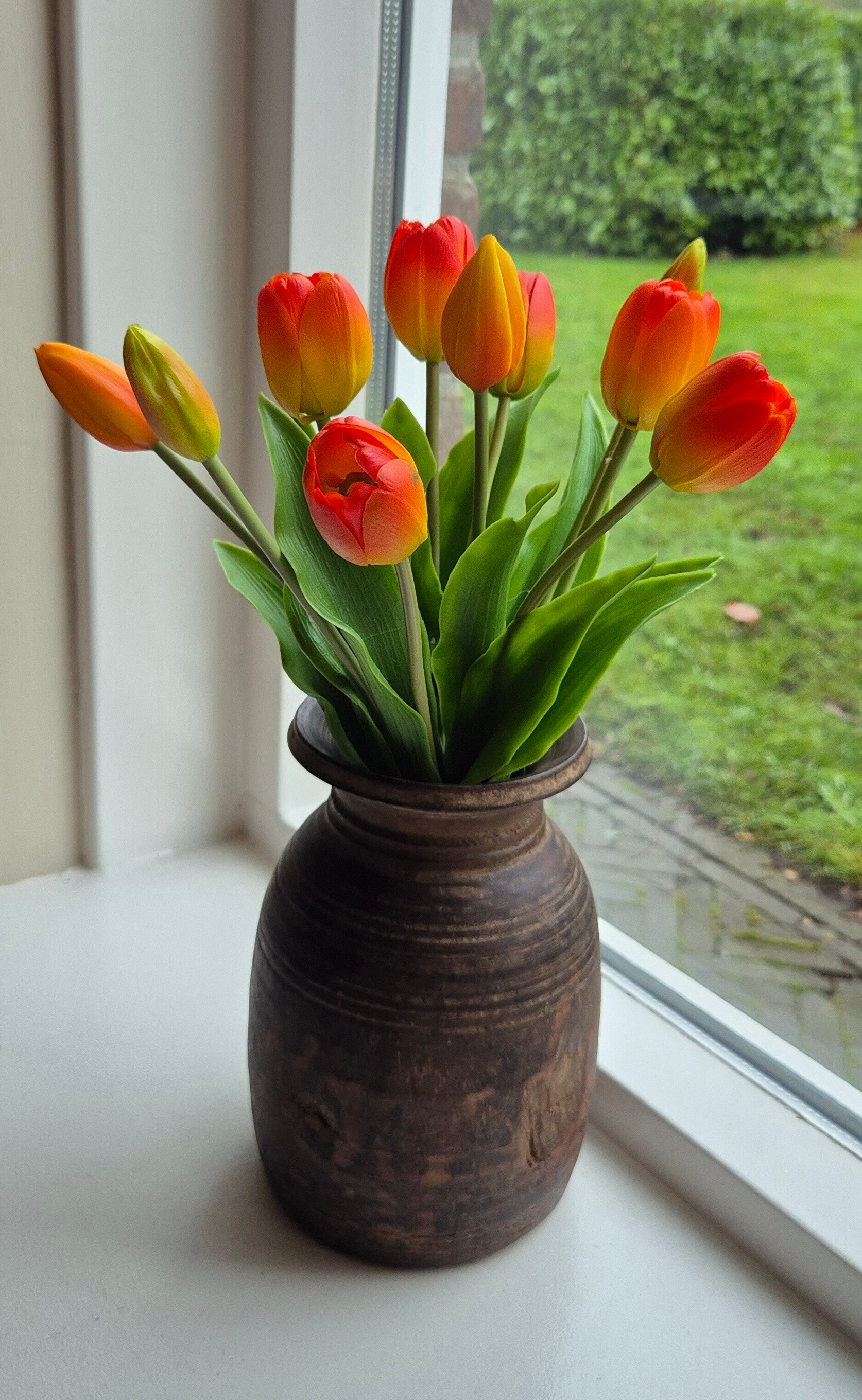 Tulp Sally Orange