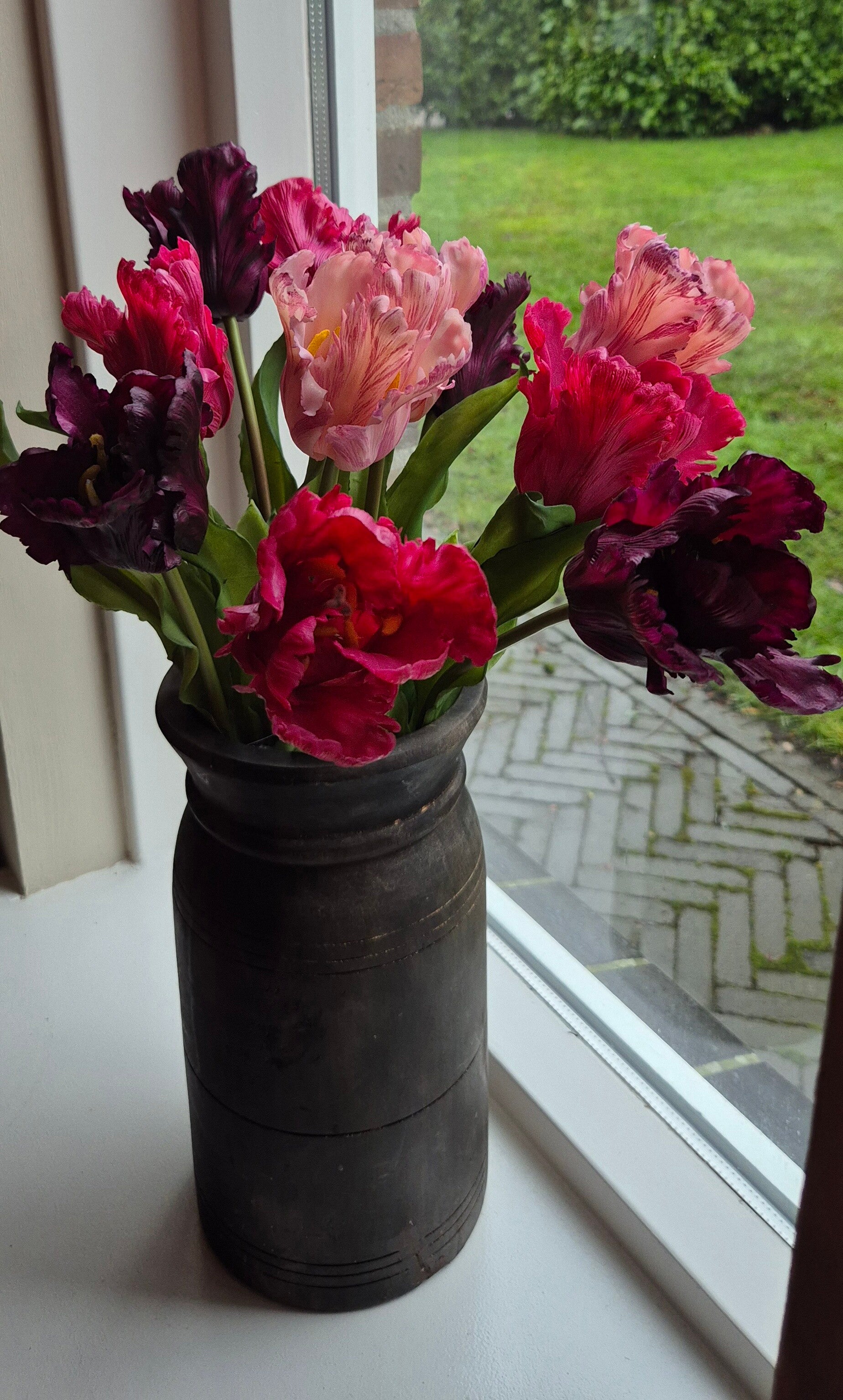 Parrot Tulpen Purple mix