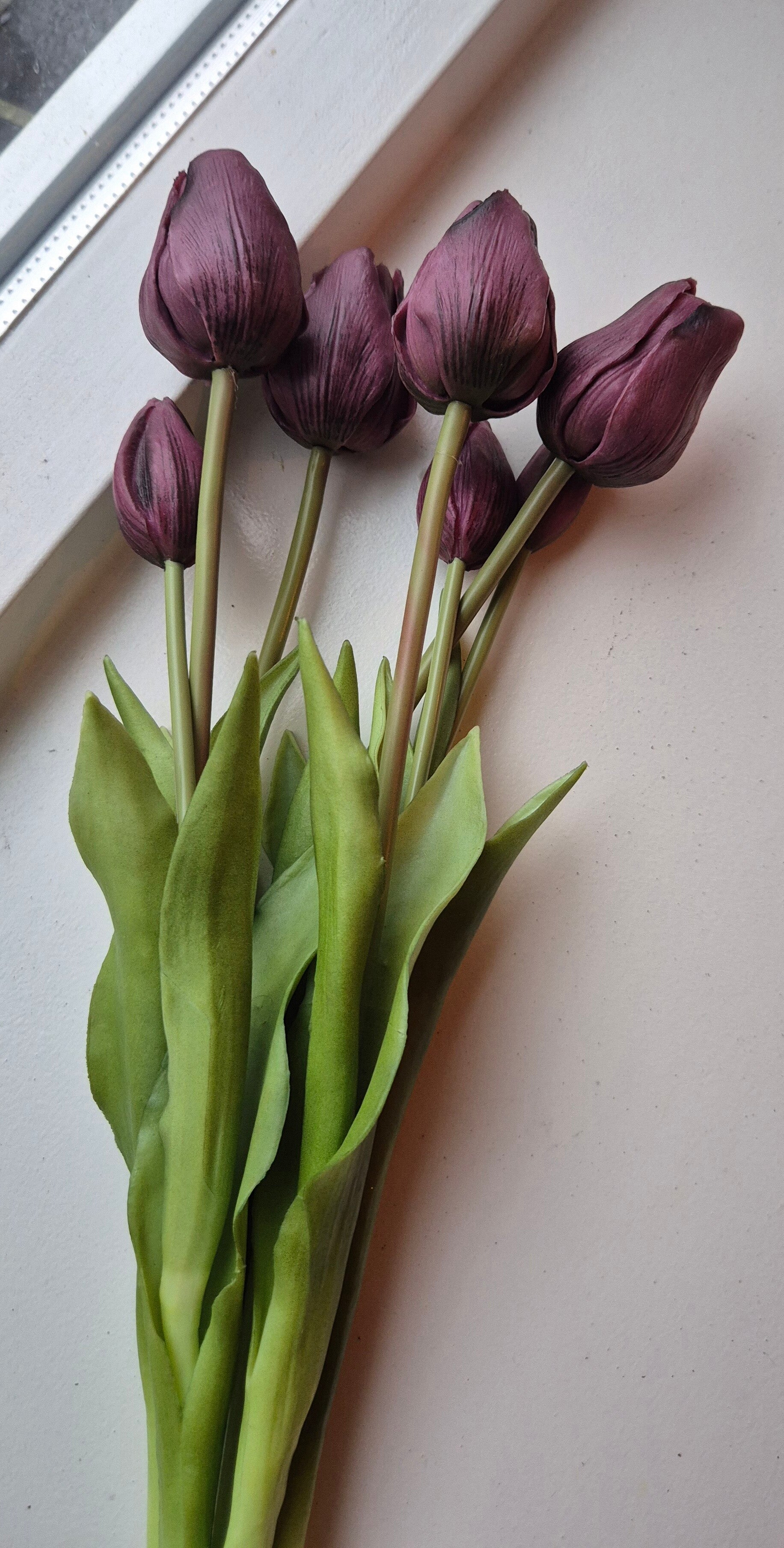 Tulpen real touch Mauve