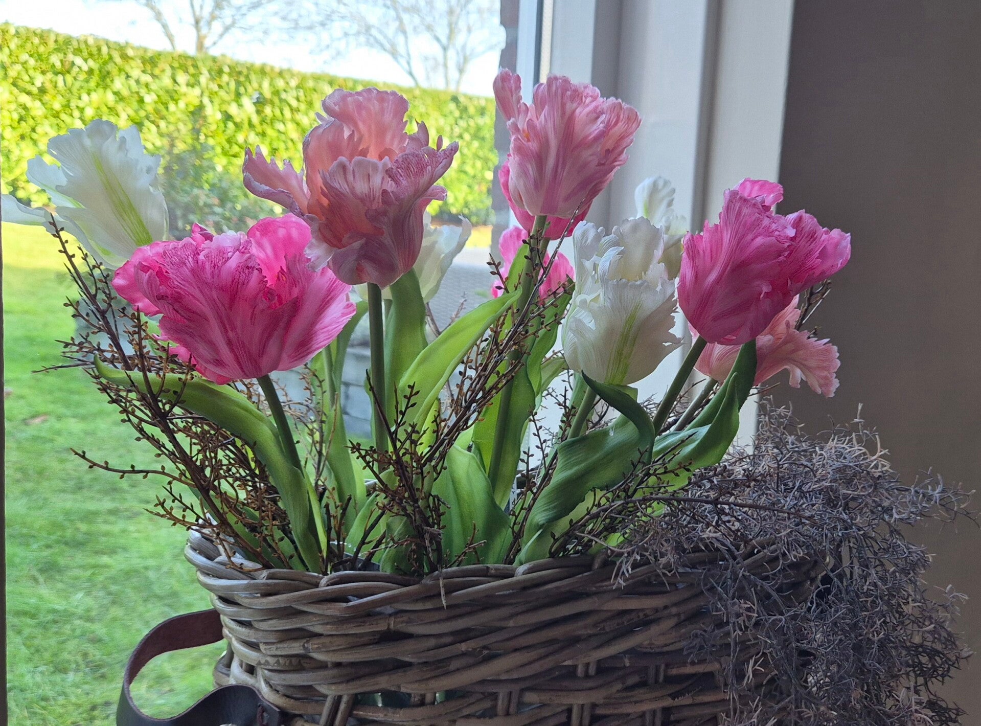 Parrot Tulpen Pink mix