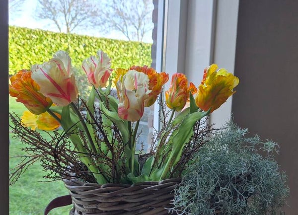 Parrot Tulpen yellow mix
