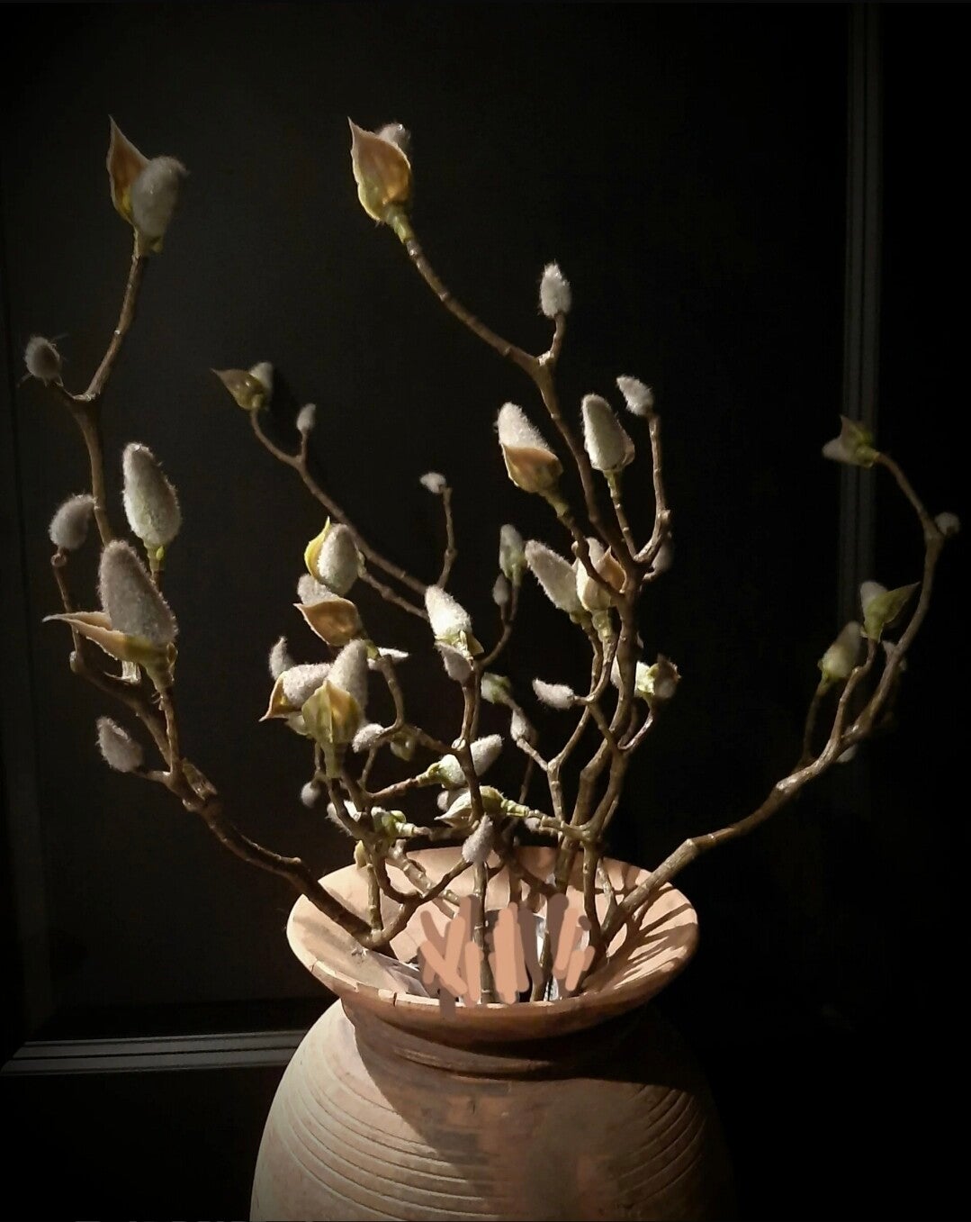 Magnolia tak