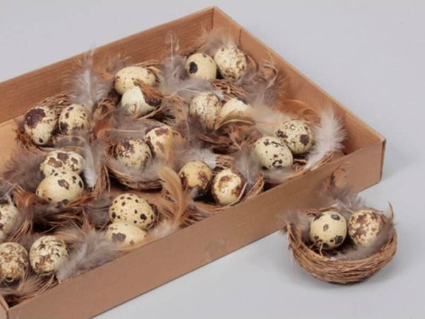 Kwarteleitjes in nestje