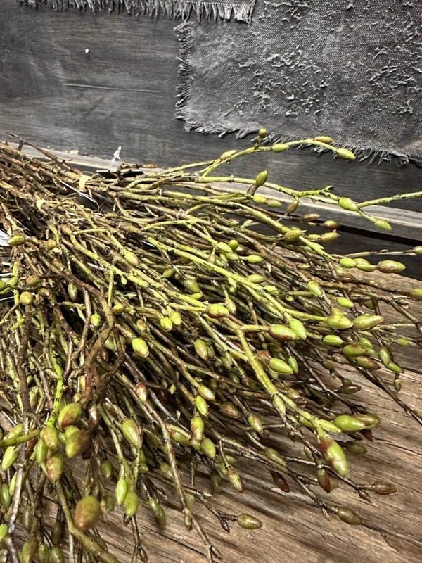 Tilia kunst Countryfield