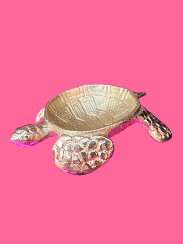 Schildpad schaaltje