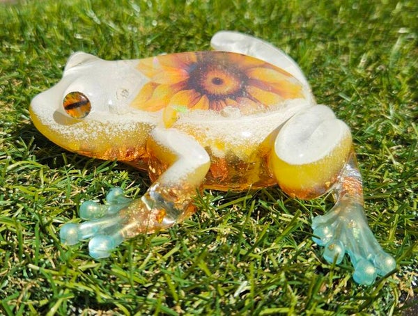 "Frolic the Frog" Zonnebloem 1