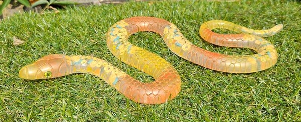 "Ziggy the Snake" I Feel FineApple