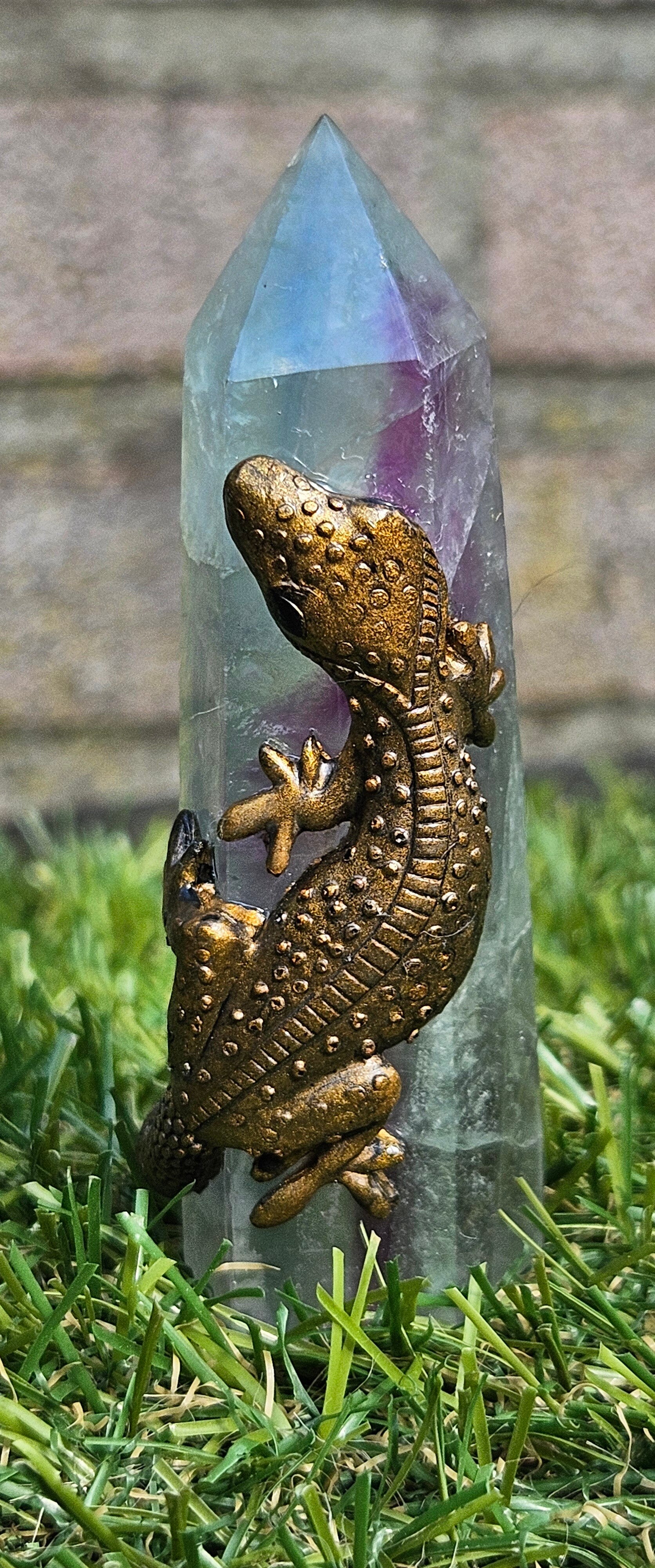 Hagedisje op Fluorietpunt 1