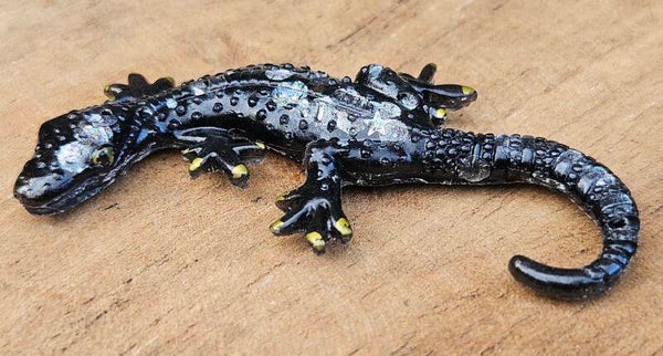 "Hagedisje" Magneet Zwart Glitter 1